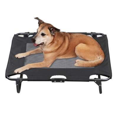 New multi-functional foldable travel pet bed